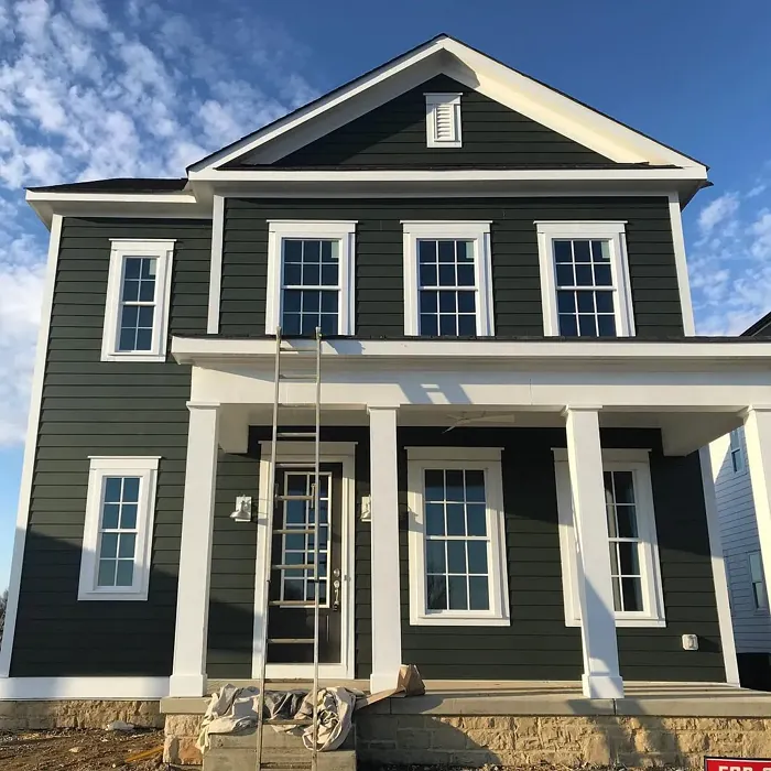 SW Ripe Olive house exterior color review