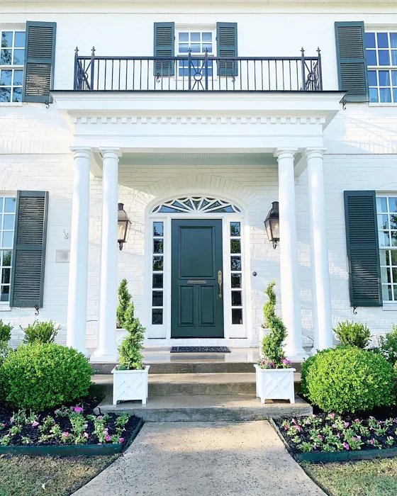 SW Ripe Olive front door color