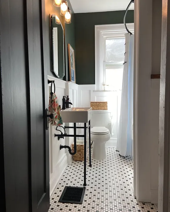 SW Ripe Olive bathroom paint