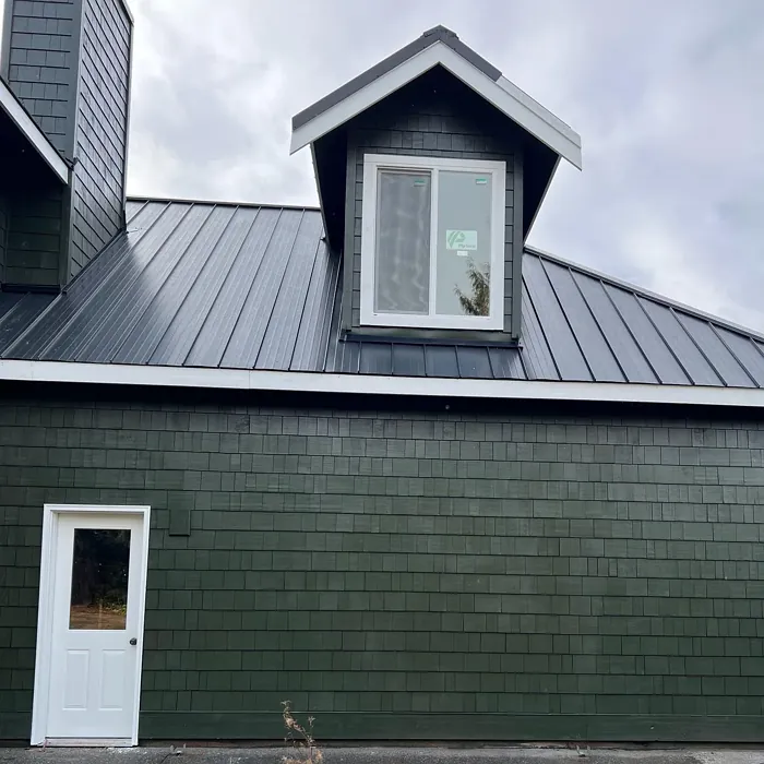 SW Ripe Olive house exterior paint