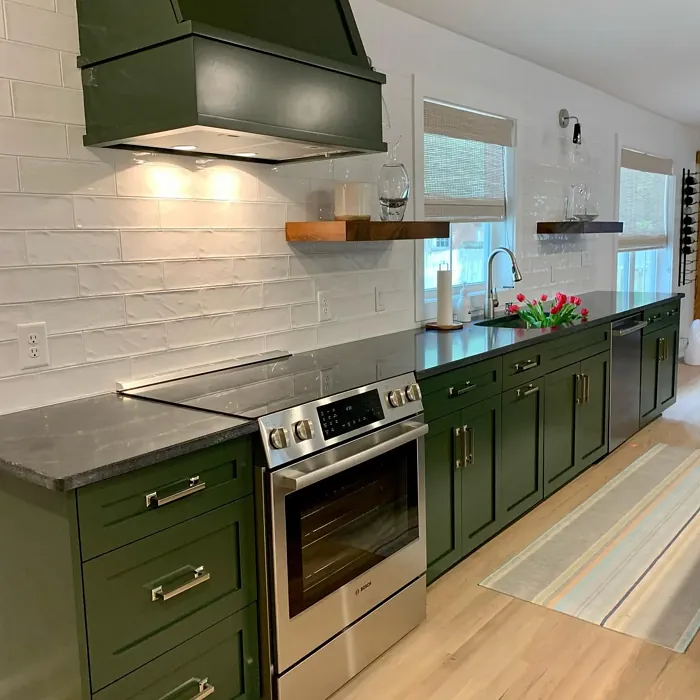 Sherwin Williams Ripe Olive kitchen cabinets paint review