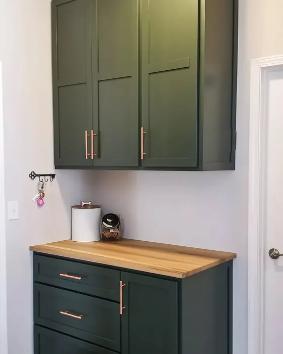 Sherwin Williams Ripe Olive kitchen cabinets 