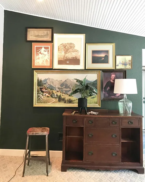 Ripe Olive wall paint 