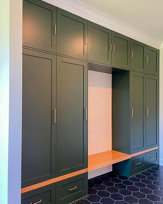 Ripe Olive painted cabinets 