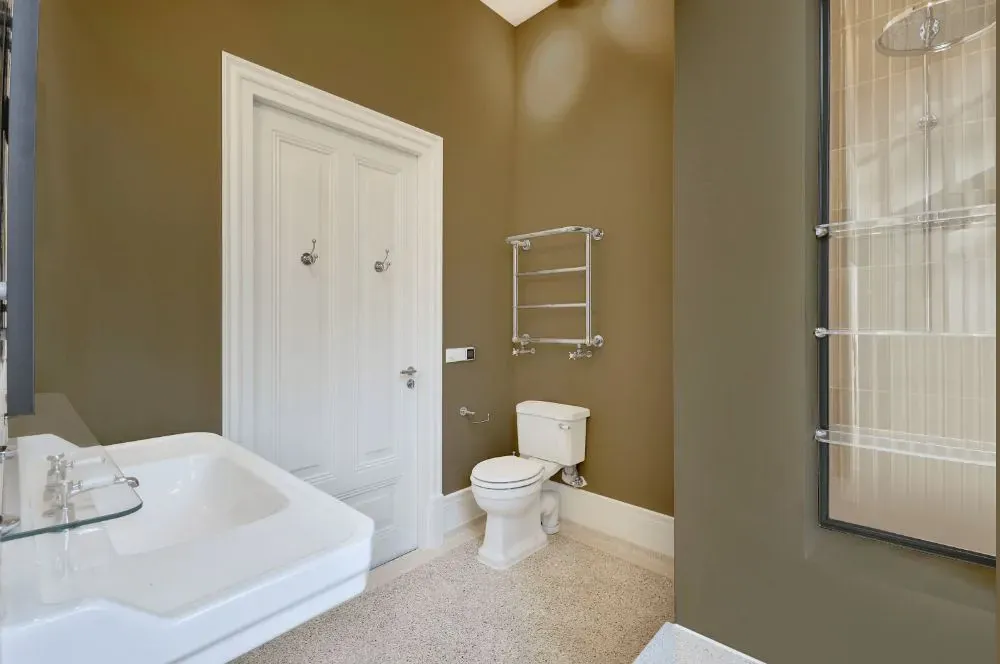 Sherwin Williams River Reed bathroom