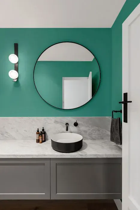 Sherwin Williams Rivulet minimalist bathroom