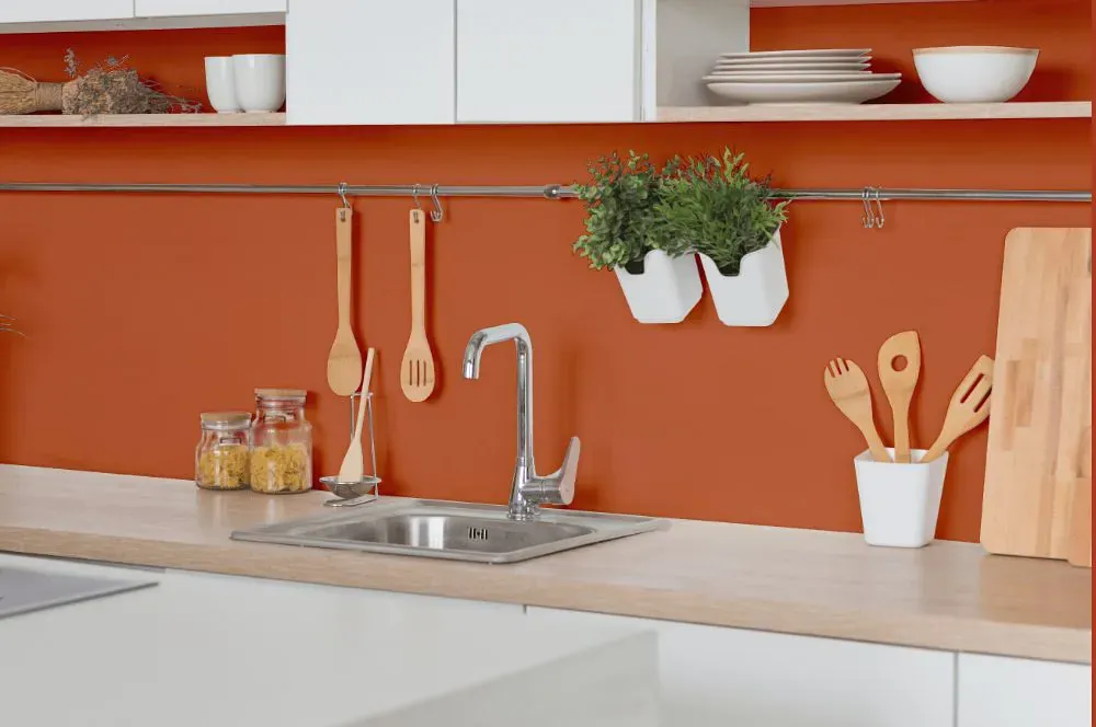 Sherwin Williams Robust Orange kitchen backsplash