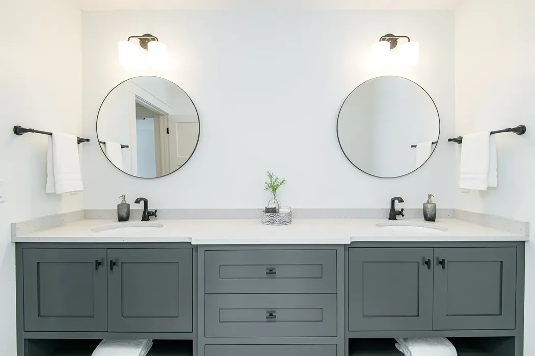 SW Rock Bottom bathroom vanity color