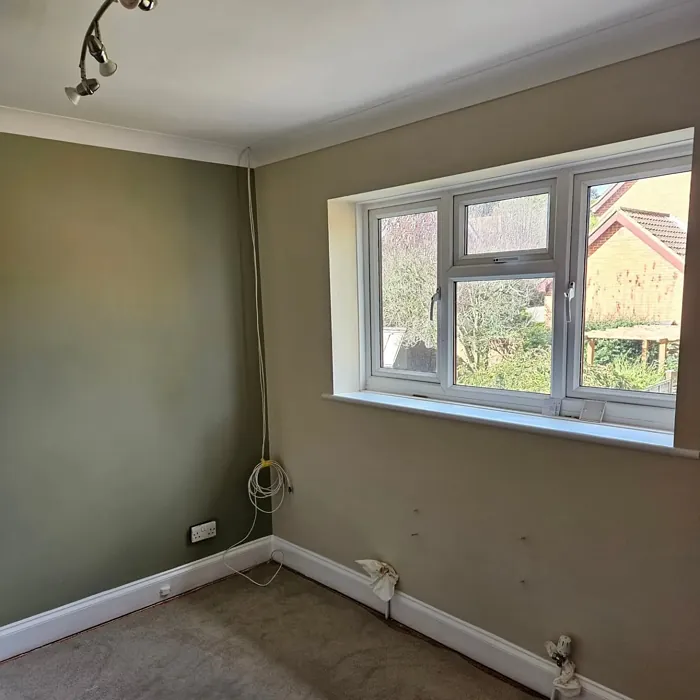 Dulux Rolled Oats wall paint 