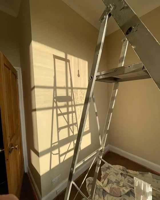 Dulux 33YY 65/106 wall paint color