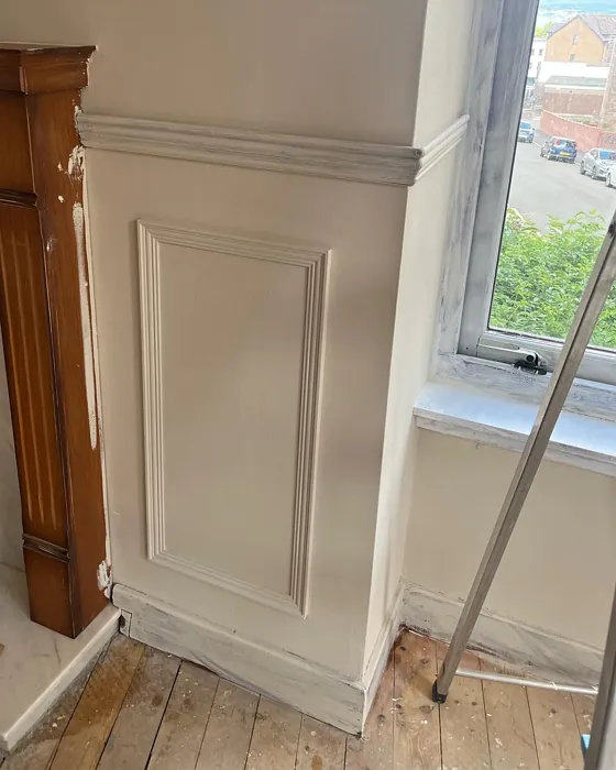 Dulux 33YY 65/106 wall paint makeover