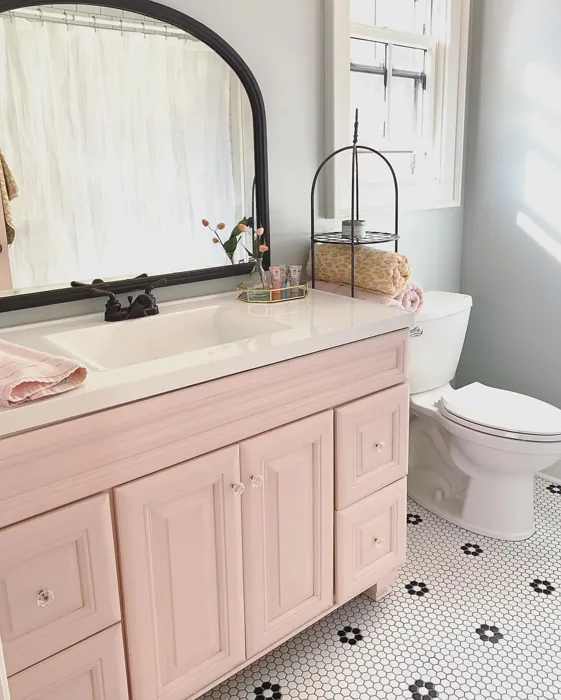 Sherwin Williams Romance bathroom vanity 