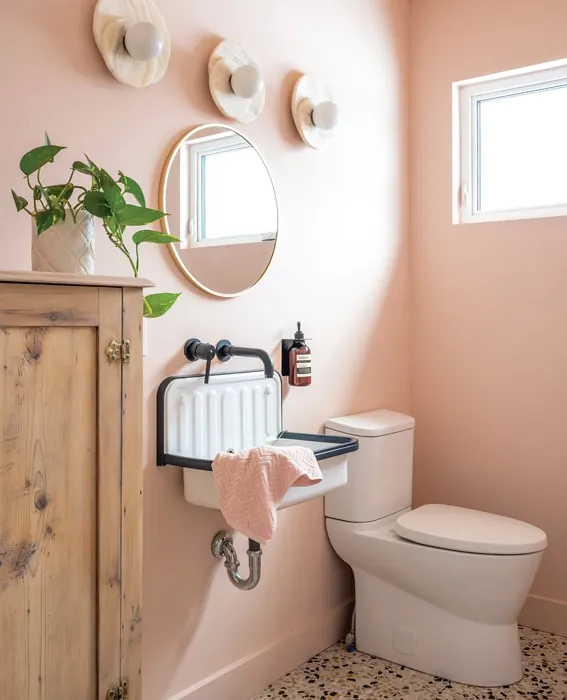 Sherwin Williams Romance bathroom review