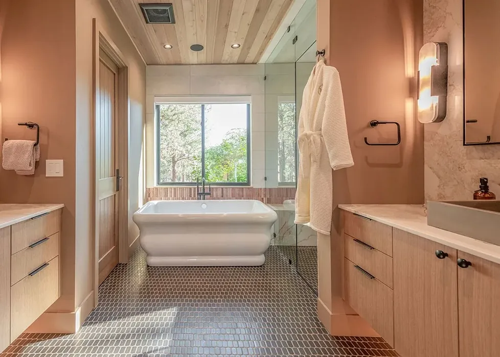 Sherwin Williams Rookwood Clay bathroom color