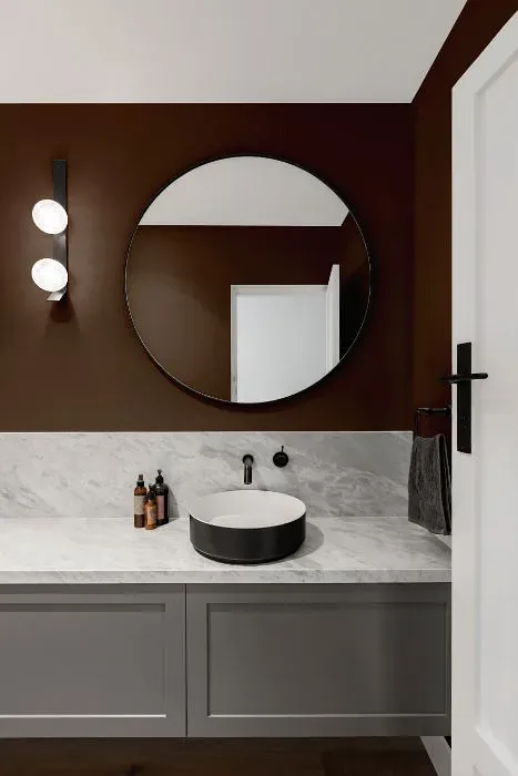 Sherwin Williams Rookwood Dark Brown minimalist bathroom