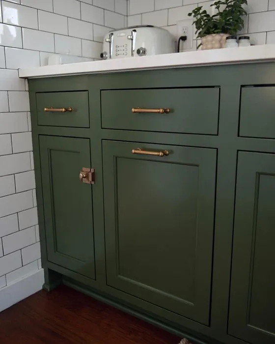 Sw Rookwood Dark Green Kitchen Cabinets