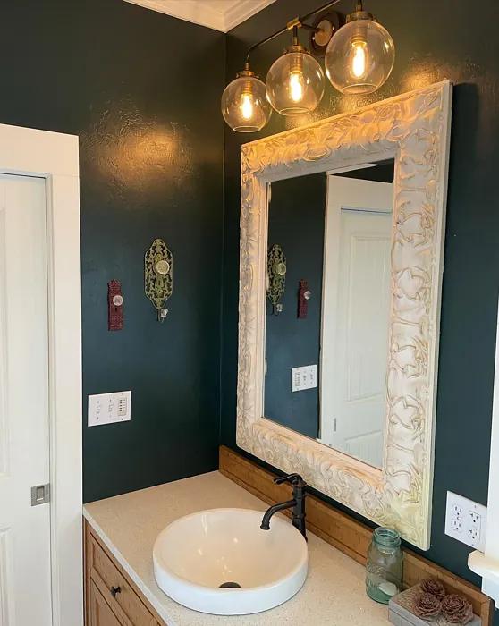 Rookwood Shutter Green bathroom paint review