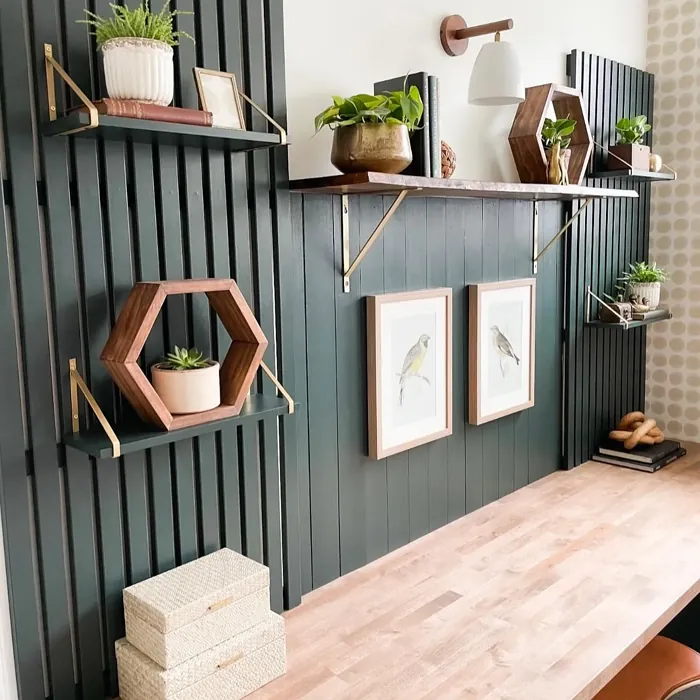 SW Rookwood Shutter Green accent wall color