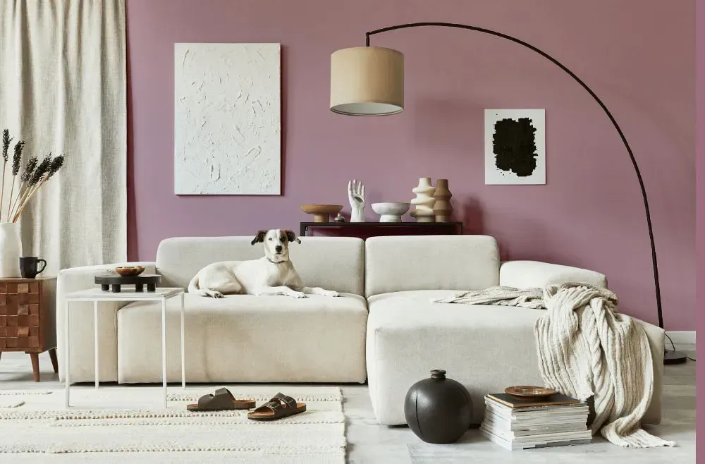 Sherwin Williams Rosé cozy living room