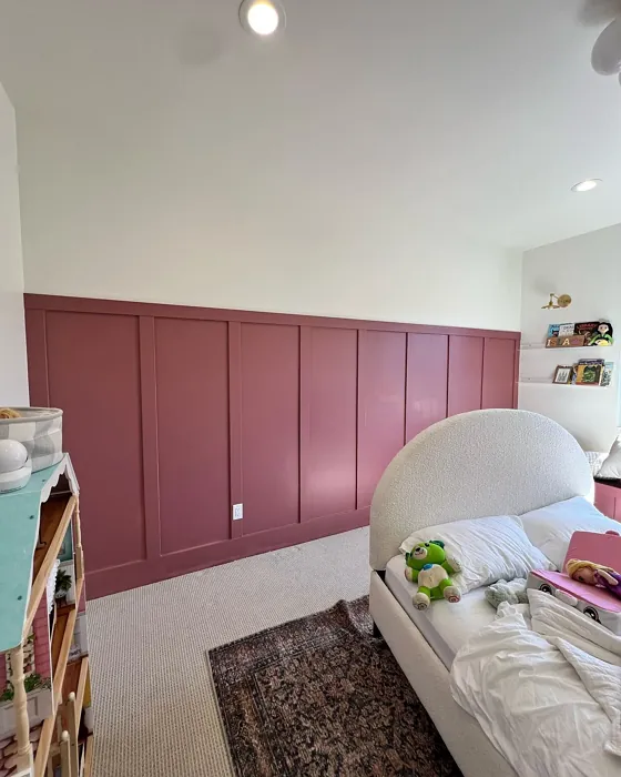 Sherwin Williams Rose Brocade bedroom panelling color