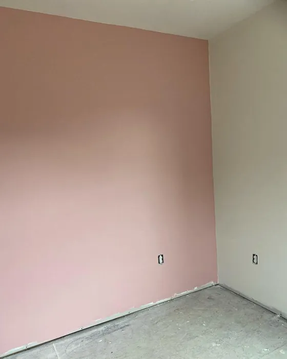 Sherwin Williams Rose Colored Accent Wall
