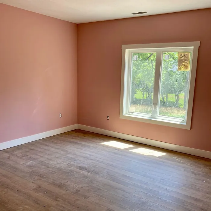 Sw Rose Colored Living Room