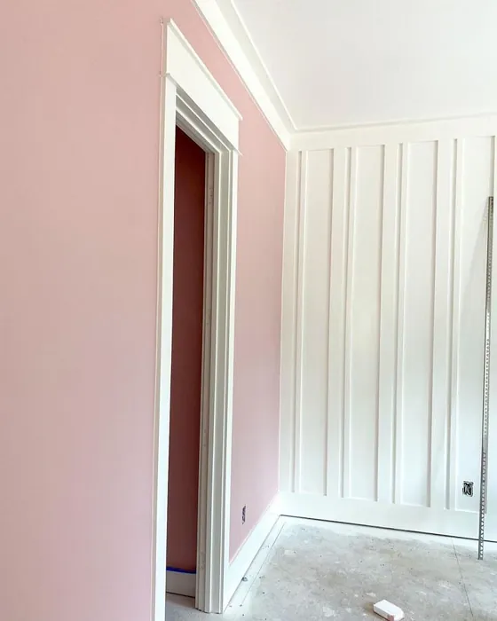 Sw Rose Colored Accent Wall