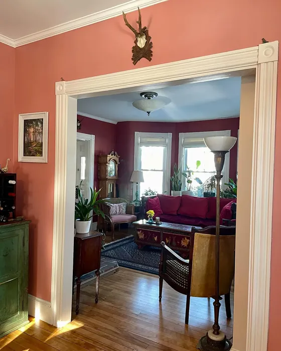Sherwin Williams Rosedust living room color review