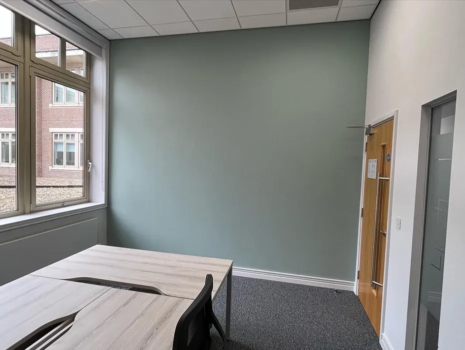 Dulux Rosemary Leaf office accent wall