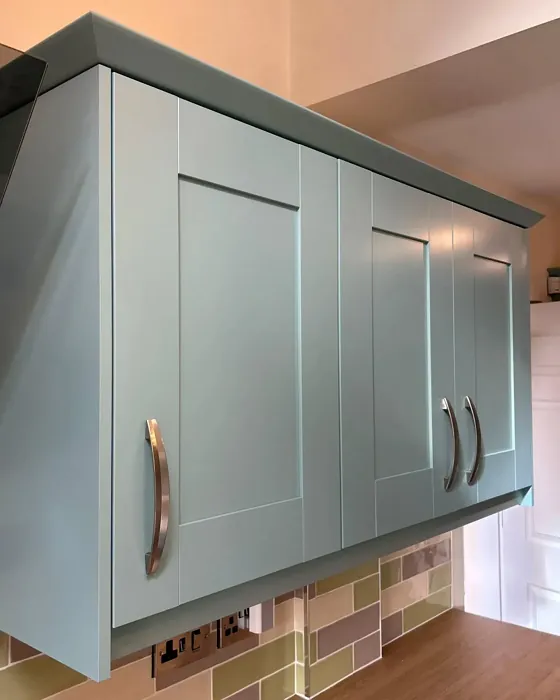 Dulux Fresh Foliage kitchen cabinets color