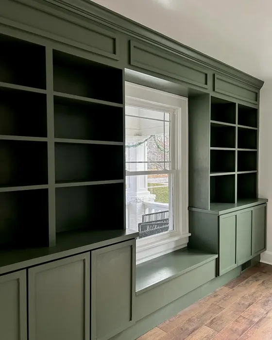 Sherwin Williams Rosemary painted storage color