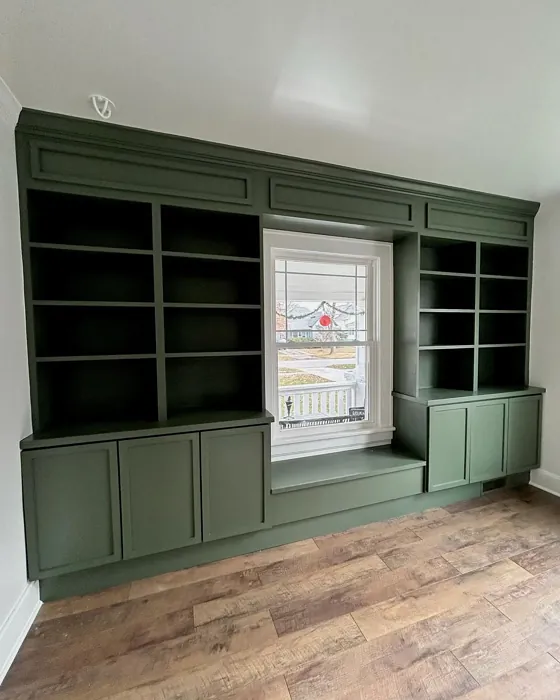 Sherwin Williams Rosemary painted storage color review