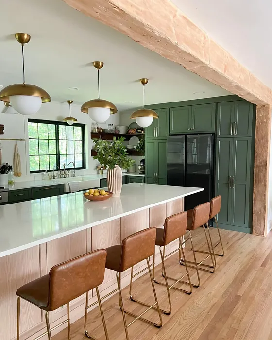 Sherwin Williams Rosemary cozy kitchen cabinets paint