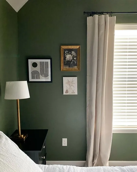 SW Rosemary cozy bedroom paint review