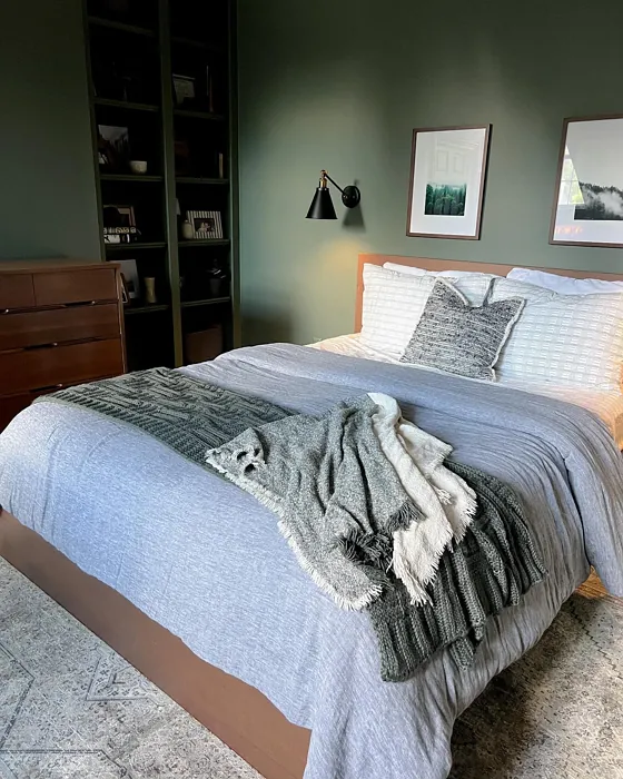 Sherwin Williams Rosemary cozy bedroom color