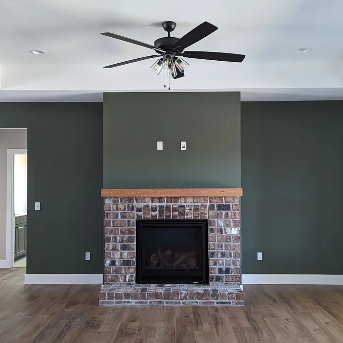 SW Rosemary living room paint review