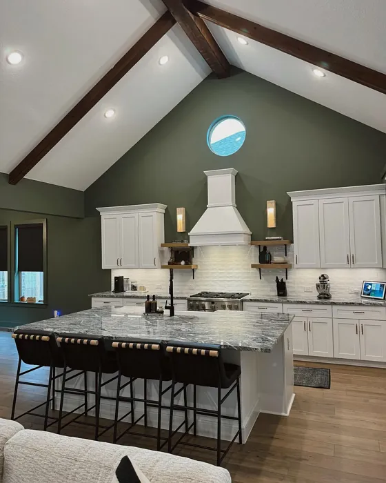 SW Rosemary kitchen paint