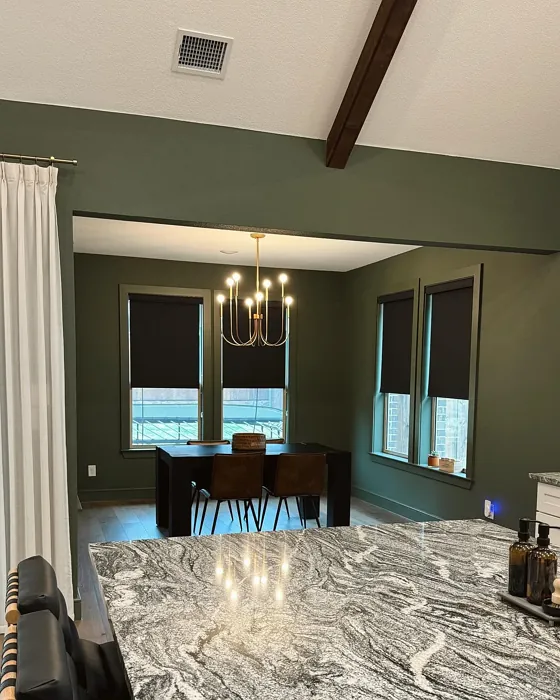 SW Rosemary dining room color