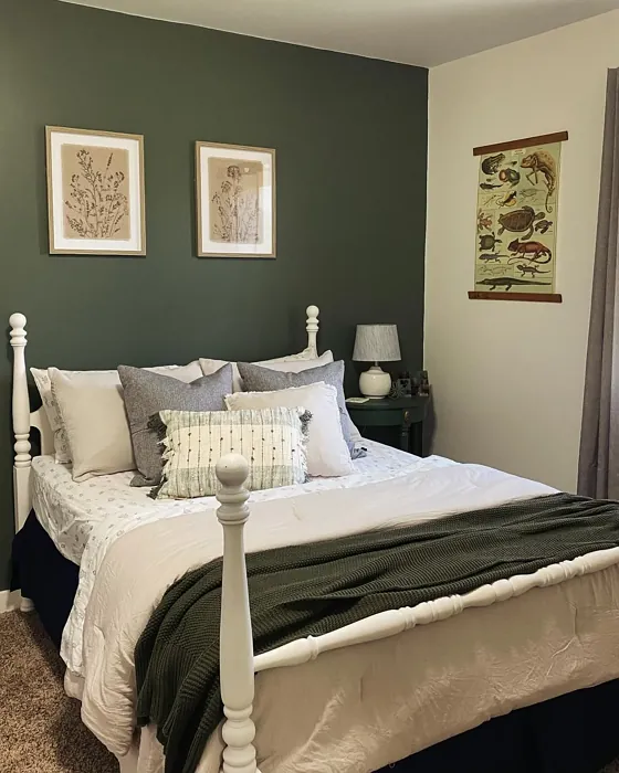 Sherwin Williams Rosemary bedroom accent wall 