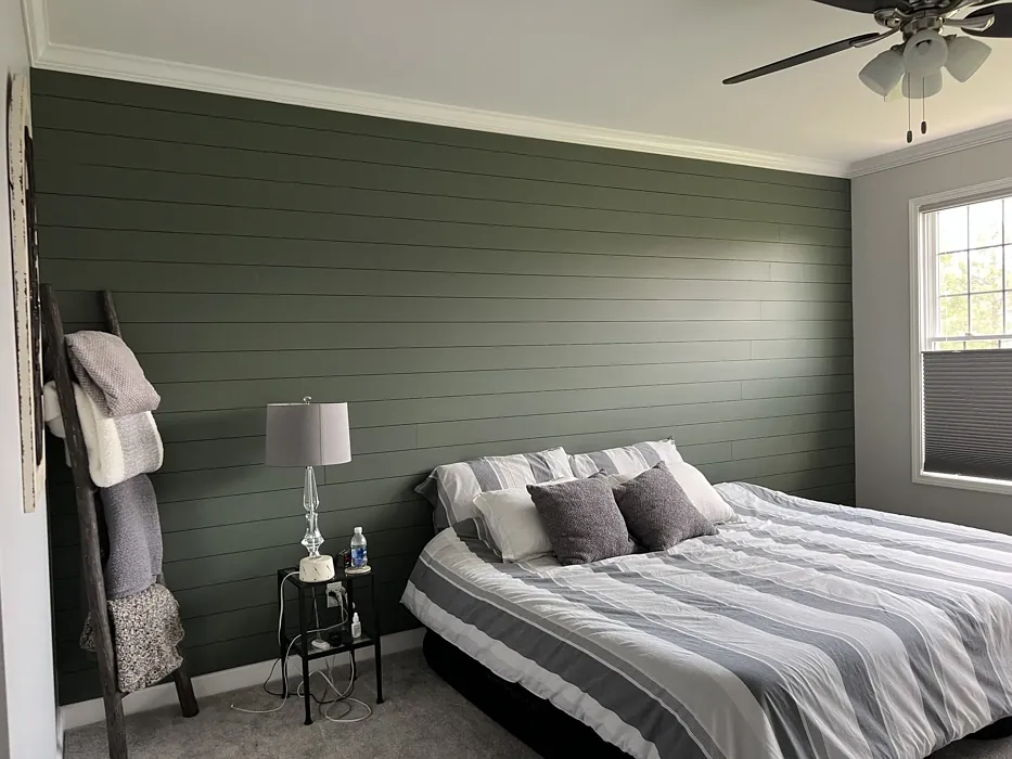 Sherwin Williams Rosemary bedroom accent wall color