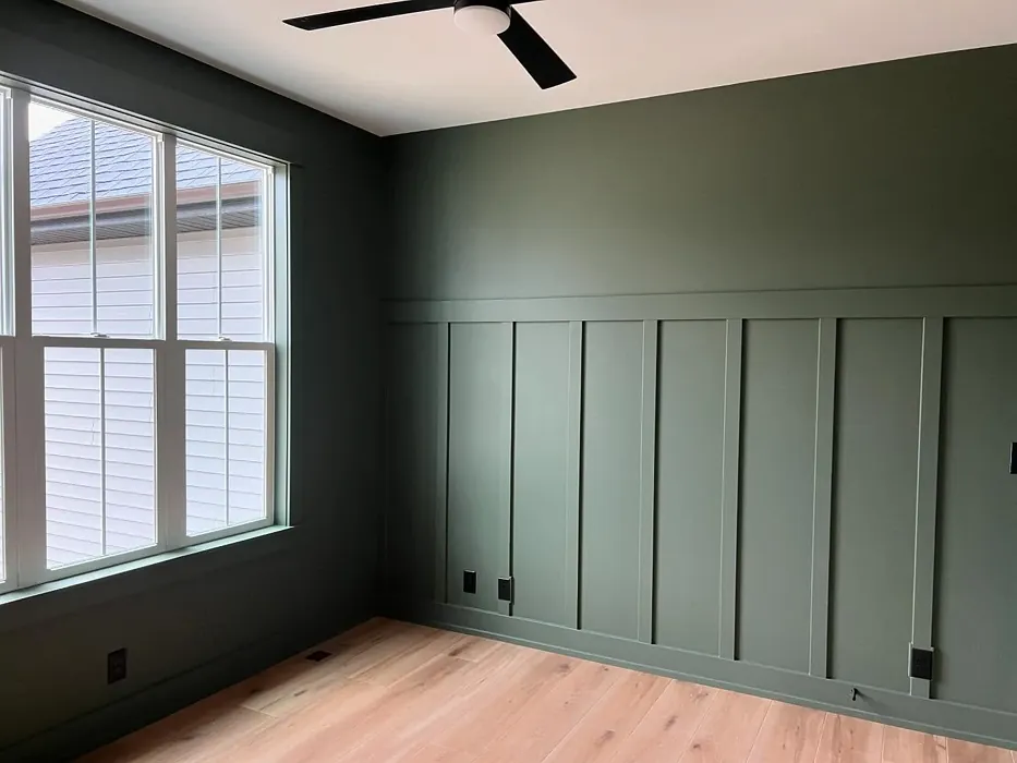 Sherwin Williams Rosemary wall panelling 