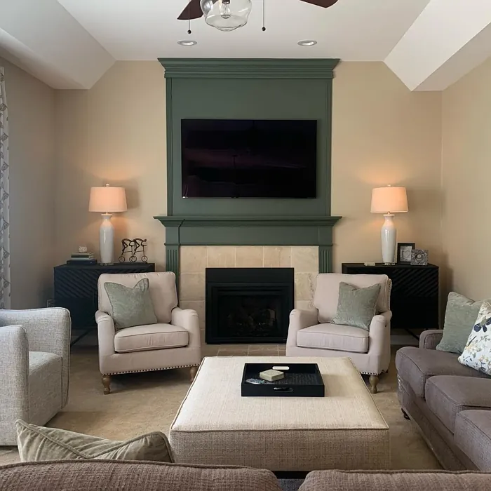 Sherwin Williams Rosemary living room fireplace color