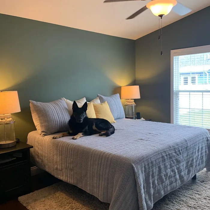 Sherwin Williams Rosemary bedroom makeover
