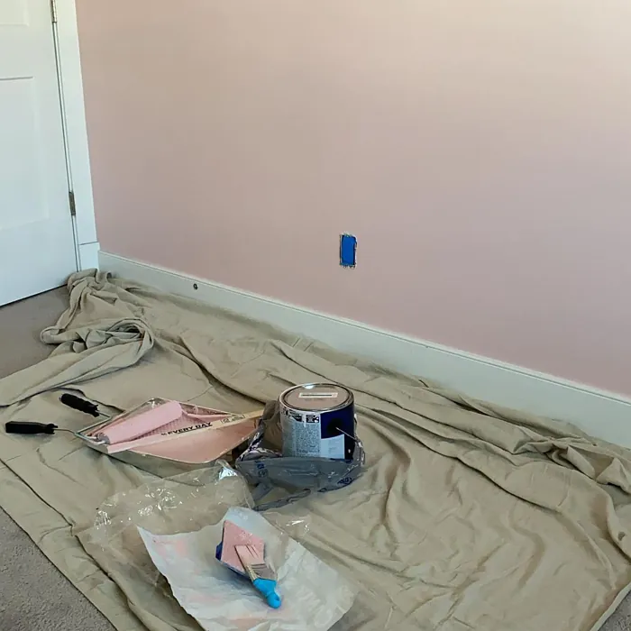 Sherwin Williams Rosy Outlook Paint