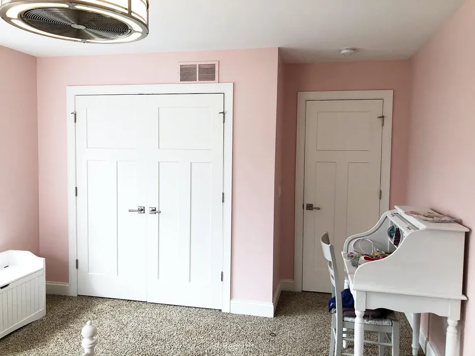Rosy Outlook Bedroom