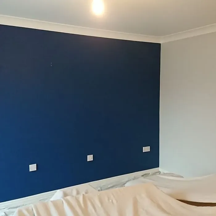 Dulux Royal Regatta 1 accent wall color