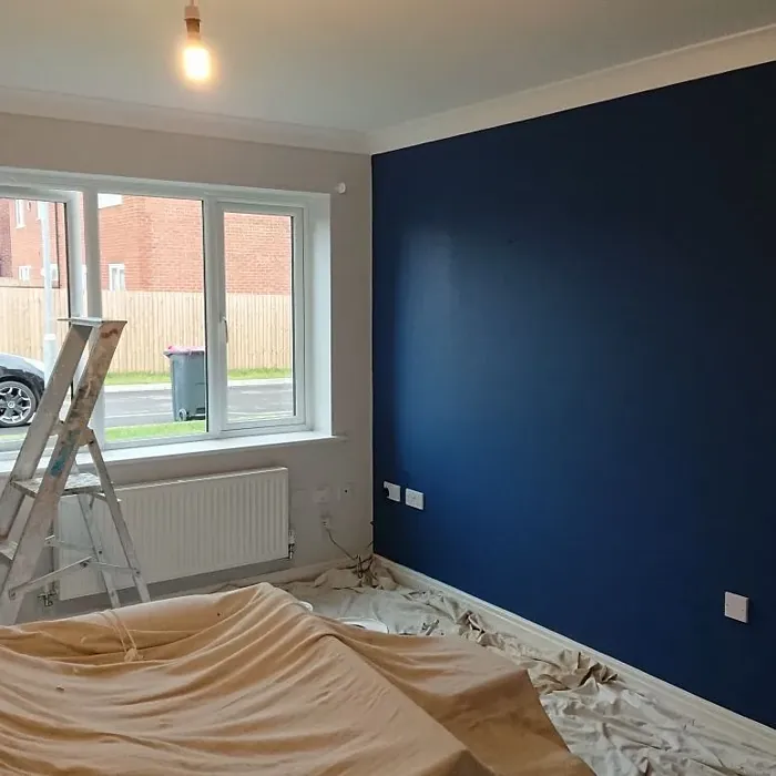 Dulux 30BB 08/188 accent wall color