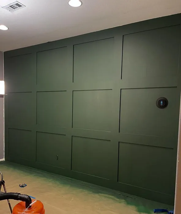 Sherwin Williams Roycroft Bottle Green SW 2847 accent wall panelling