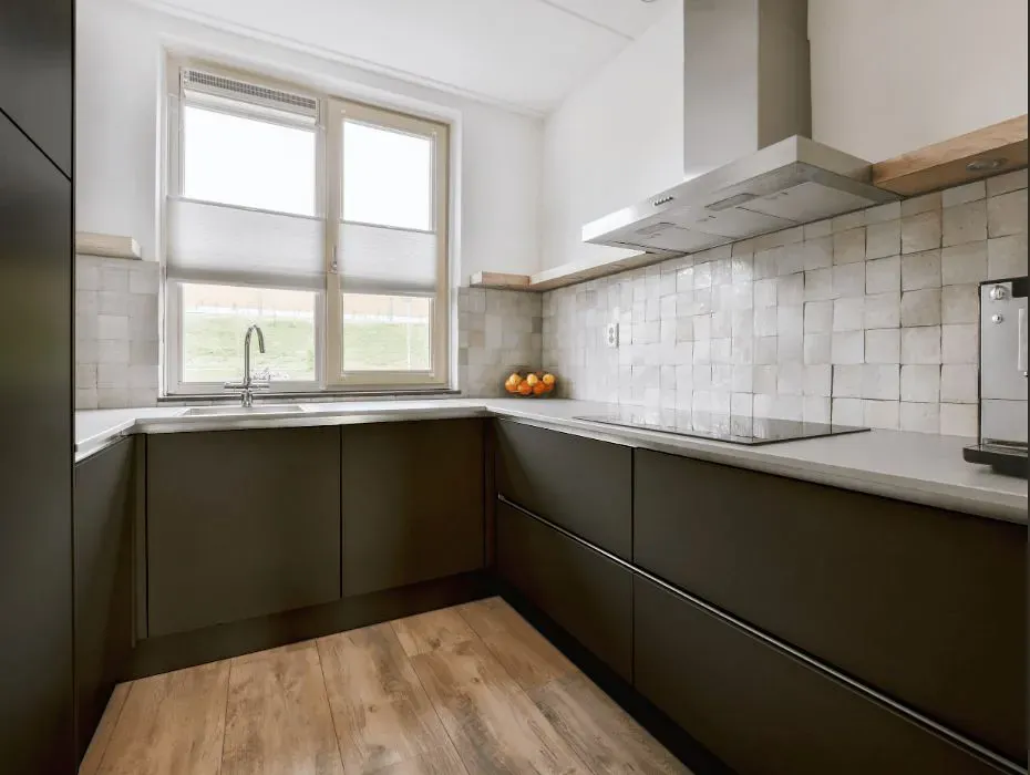 Sherwin Williams Roycroft Bronze Green small kitchen cabinets