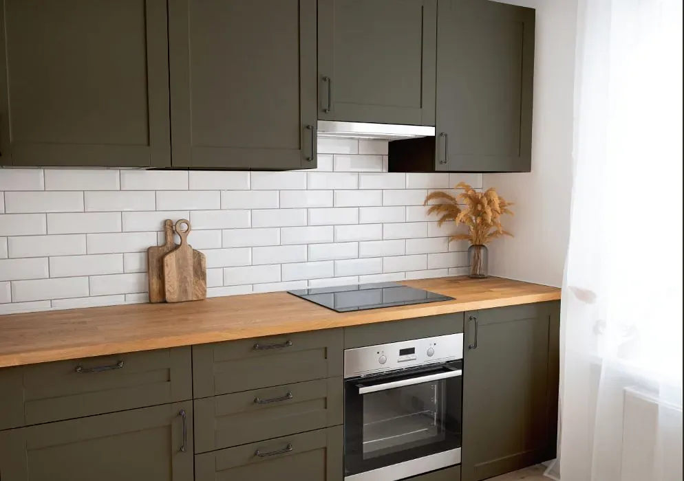 Sherwin Williams Roycroft Bronze Green kitchen cabinets